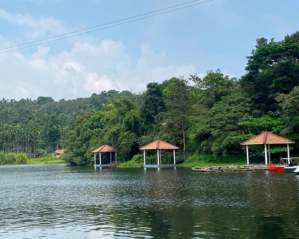 Best accommodation in Wayanad,Best accommodation in Wayanad Near Karlad Lake,Best family resort in Wayanad,Premium Hotel Apartments in Wayanad,Top luxury stays in Wayanad,Luxury accommodation in Wayanad,luxury service apartment in Wayanad